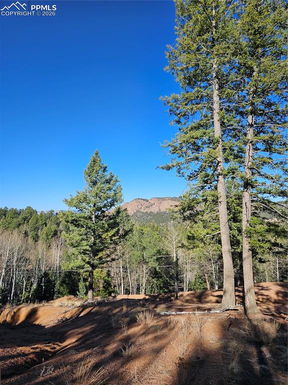 Image 20 of 32: View