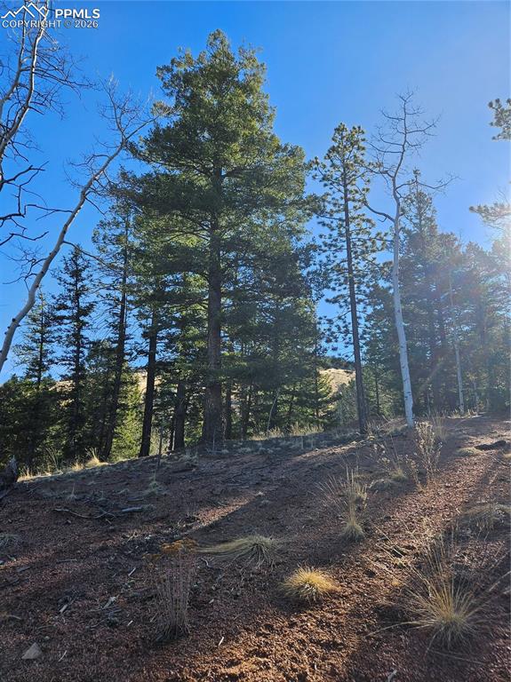 Image 21 of 32: Other