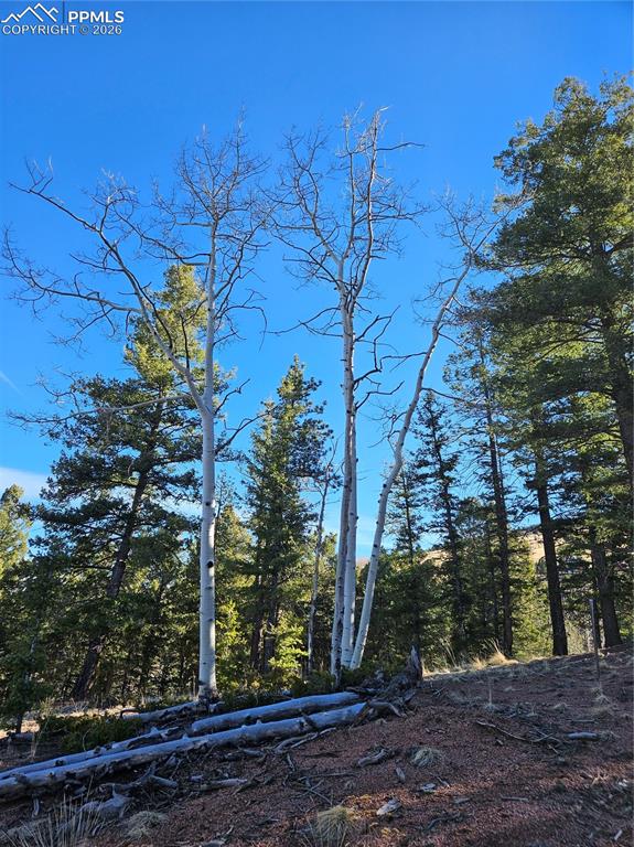 Image 22 of 32: Other