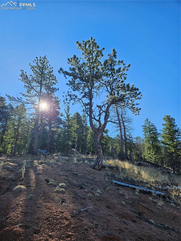 Image 23 of 32: Yard