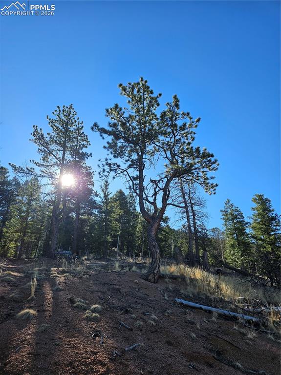 Image 24 of 32: Other