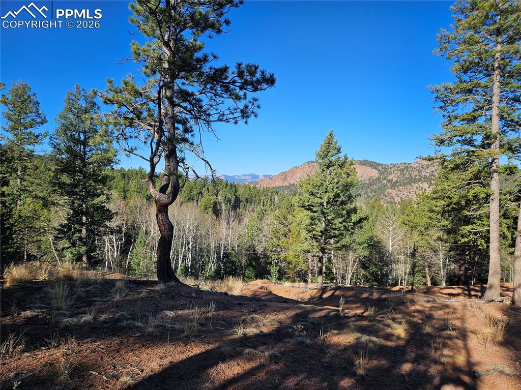 Image 29 of 32: View