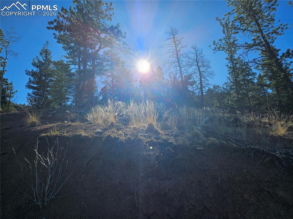 Image 30 of 32: Other