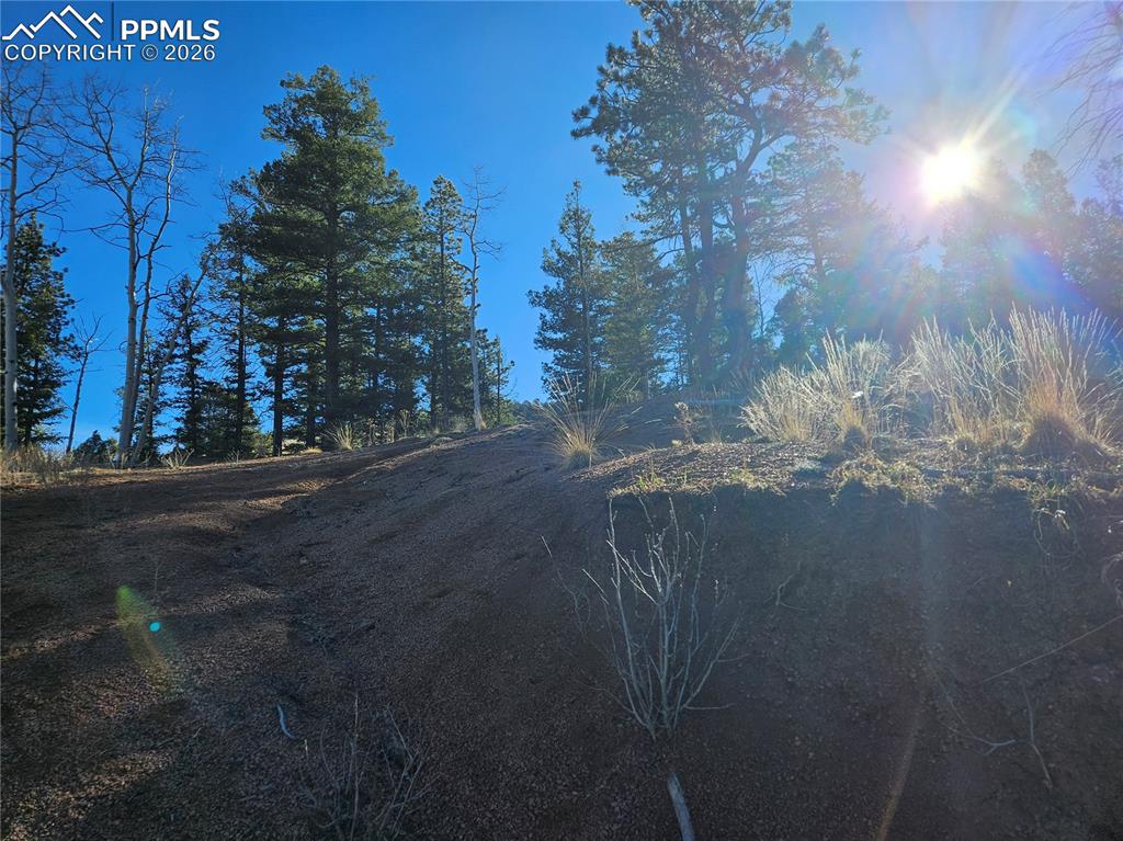 Image 31 of 32: Other