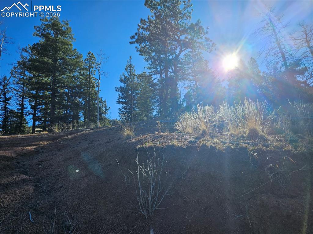 Image 32 of 32: View