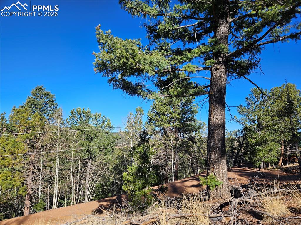 Image 4 of 32: Other