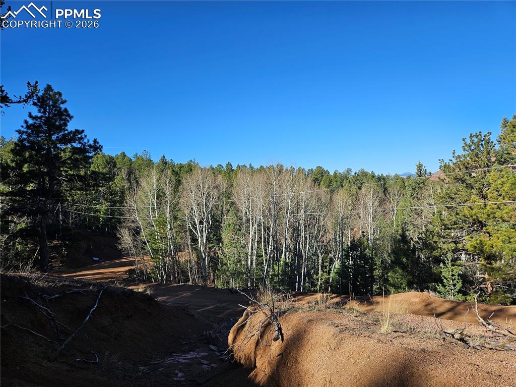 Image 5 of 32: Other