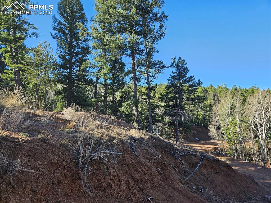 Image 6 of 32: Other