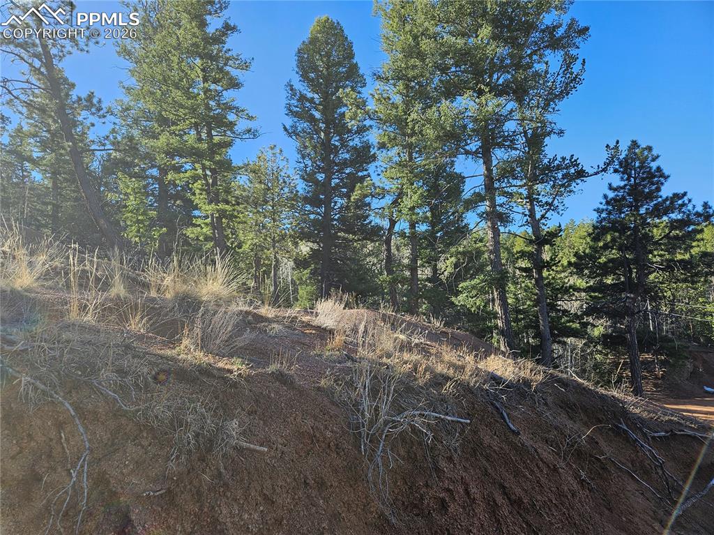 Image 7 of 32: Other