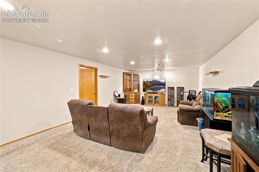 Image 19 of 37: Carpeted room with recessed lighting and a wood-finish door