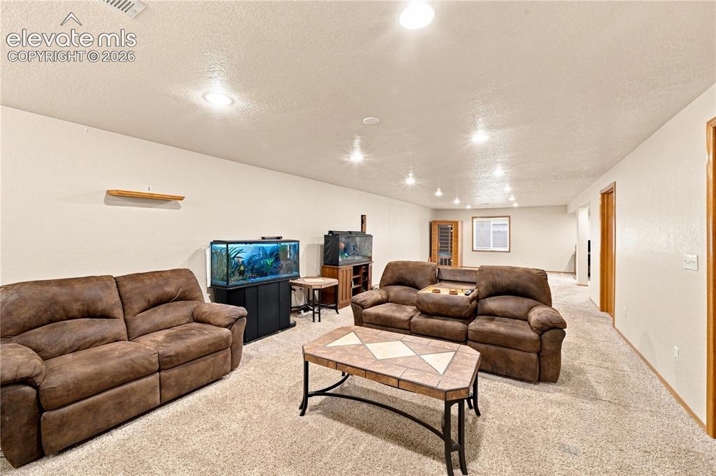 Image 20 of 37: Spacious room featuring neutral carpeting, recessed lighting, wood-finish t