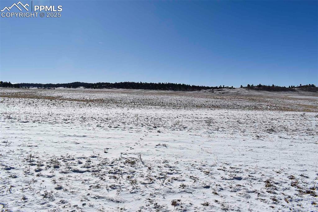 Image 12 of 37: No Description Available