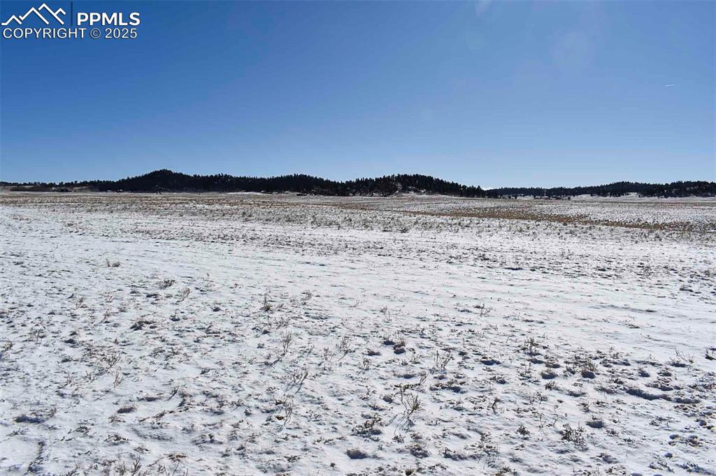 Image 13 of 37: No Description Available