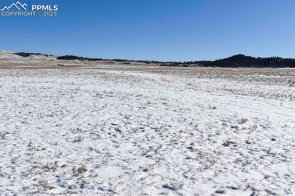 Image 14 of 37: No Description Available