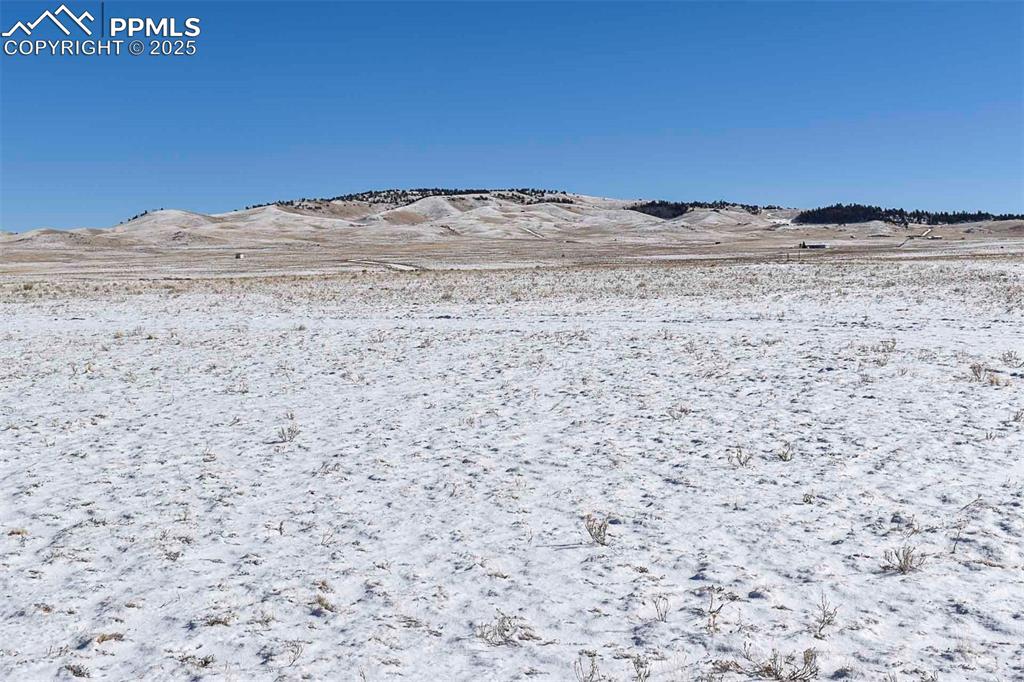 Image 15 of 37: No Description Available