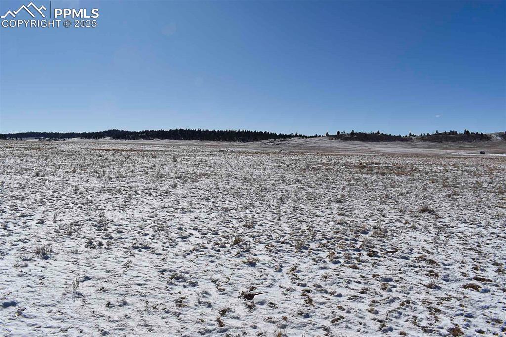 Image 17 of 37: No Description Available