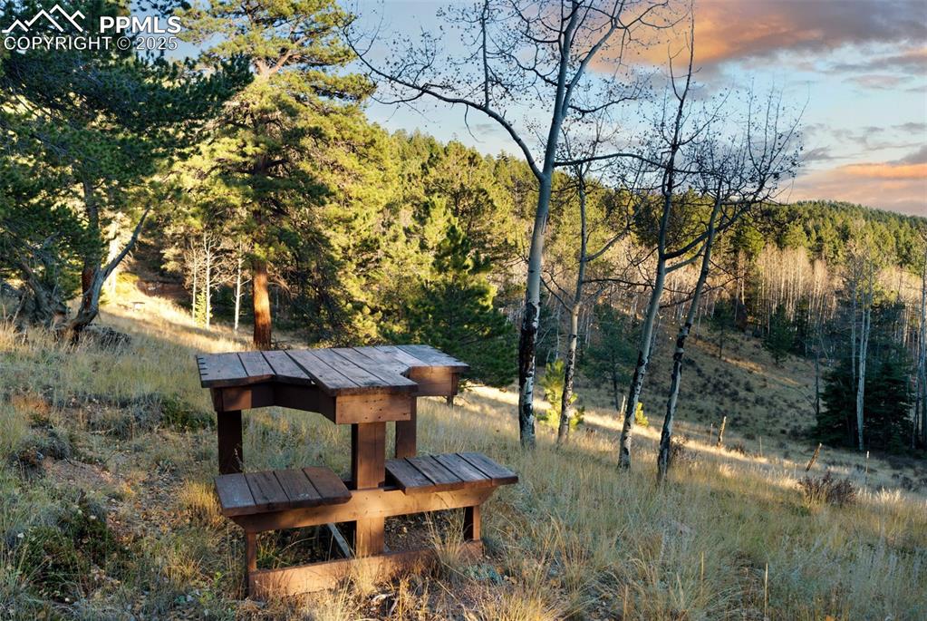 Image 32 of 39: Other