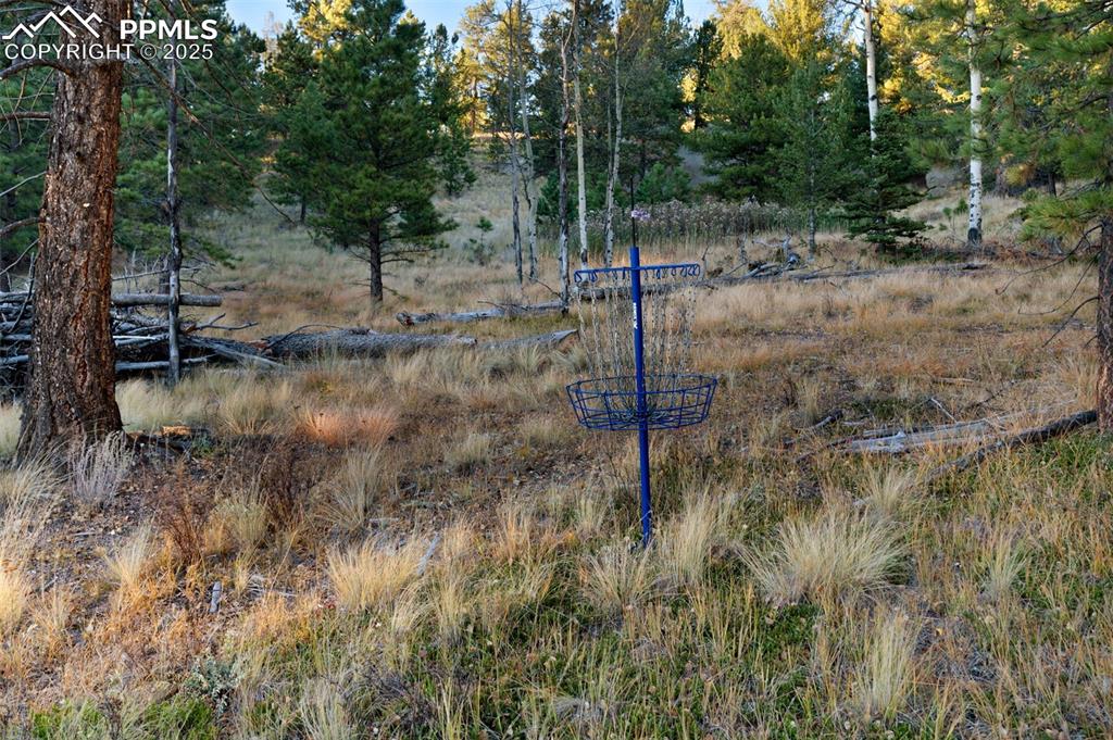 Image 34 of 39: Other