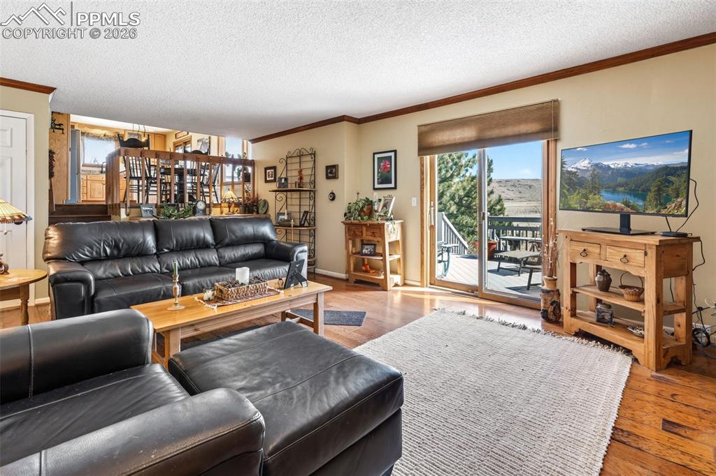 Image 11 of 49: Living Room