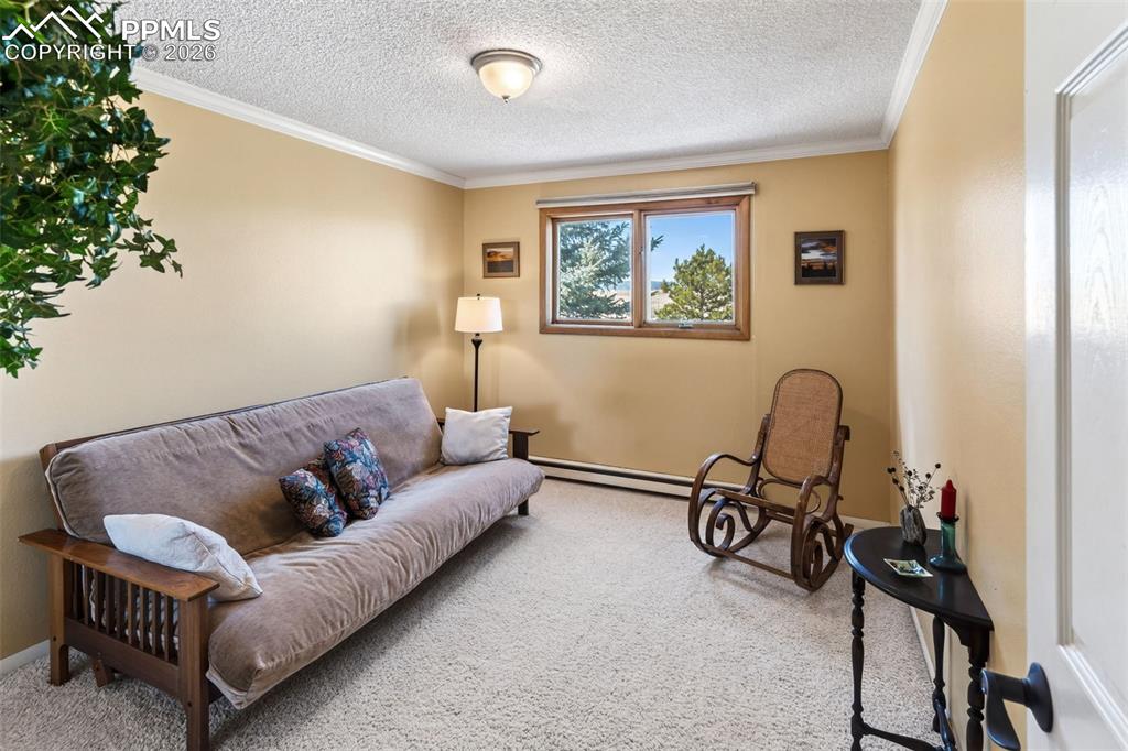 Image 17 of 49: Living Room