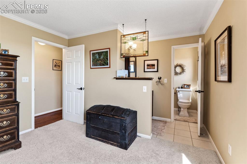 Image 19 of 49: Other