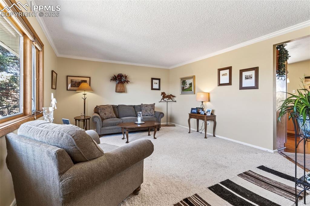 Image 2 of 49: Living Room