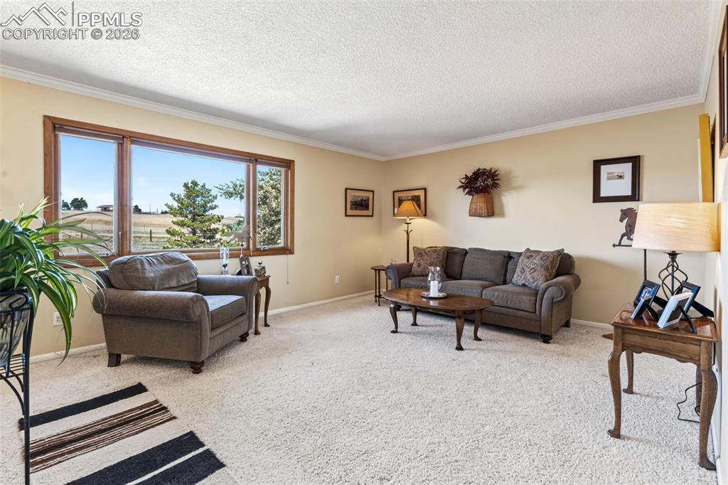 Image 3 of 49: Living Room