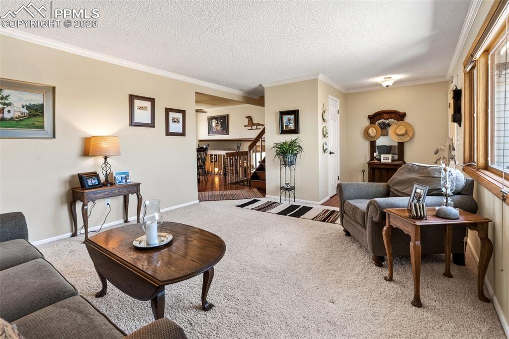 Image 4 of 49: Living Room