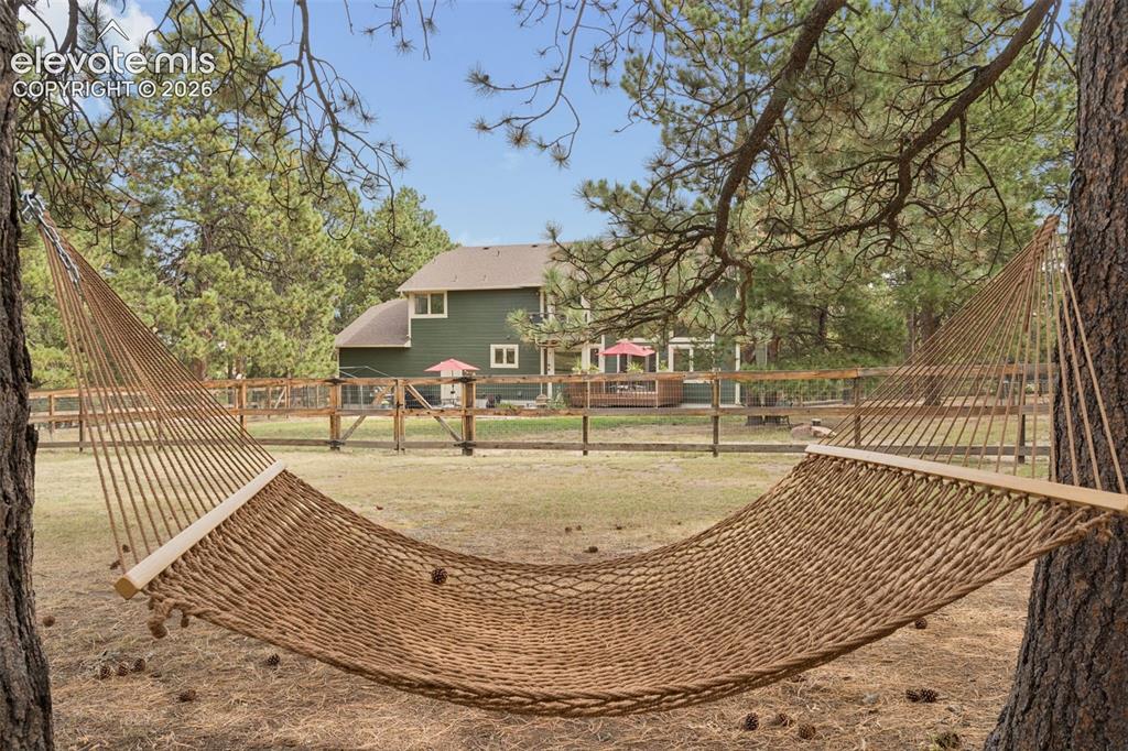 Image 3 of 50: Plenty of Trees to Hang Your Hammock & Relax