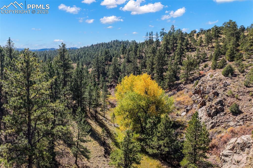 Image 13 of 50: Aerial View