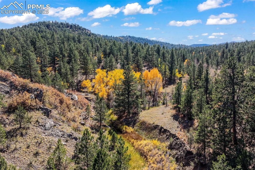 Image 14 of 50: Aerial View