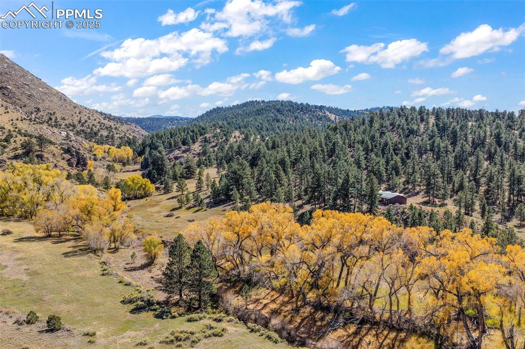 Image 17 of 50: View