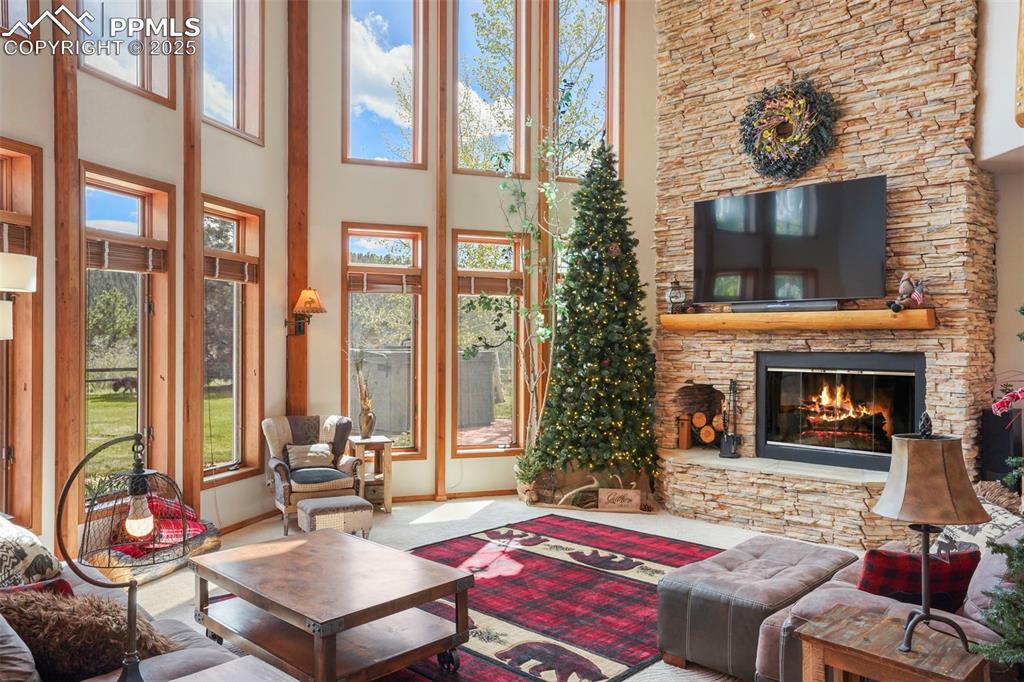 Image 8 of 50: Living Room
