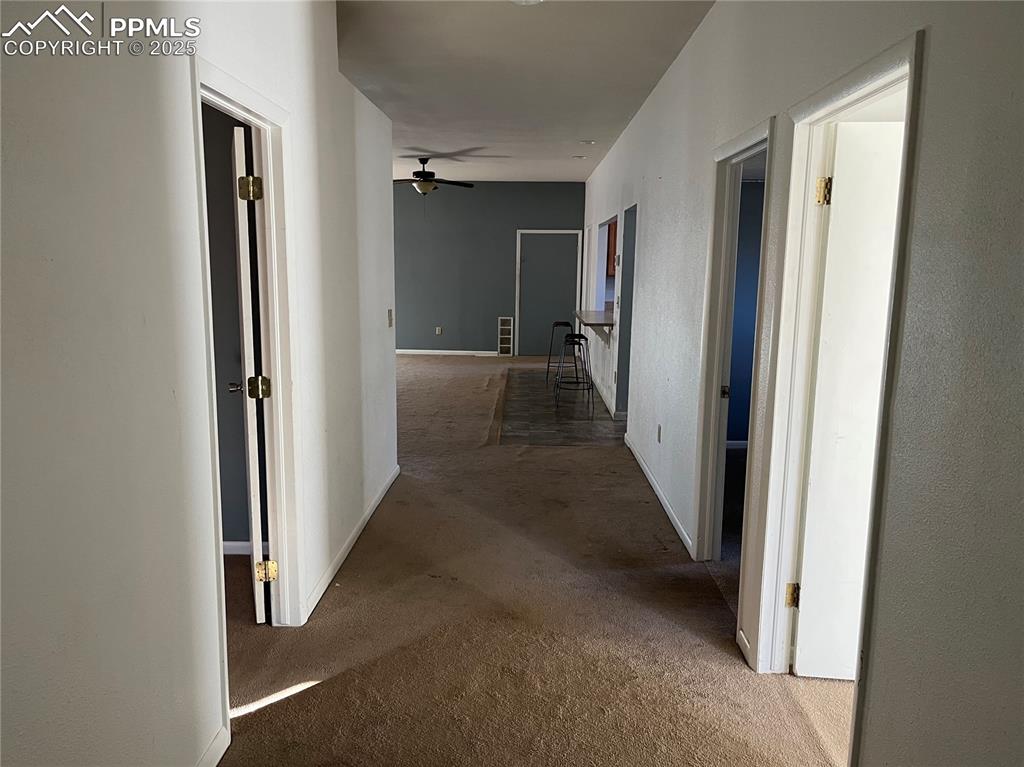 Image 16 of 20: Other