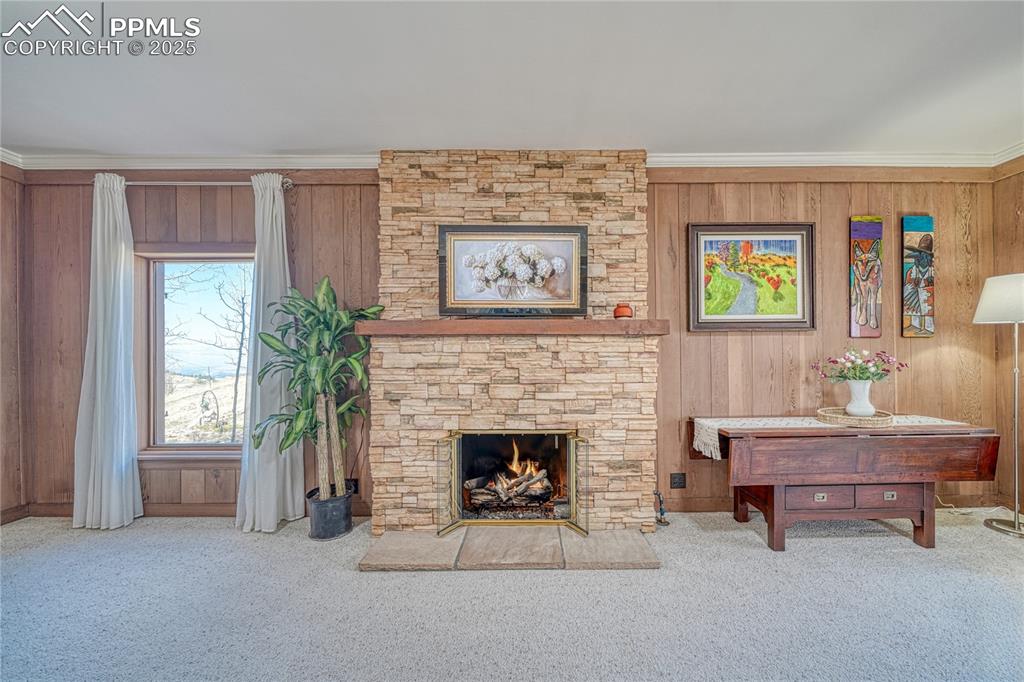 Image 10 of 37: Gas Fireplace