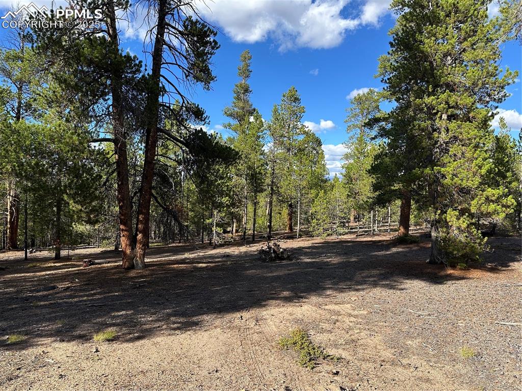 Image 10 of 20: Other