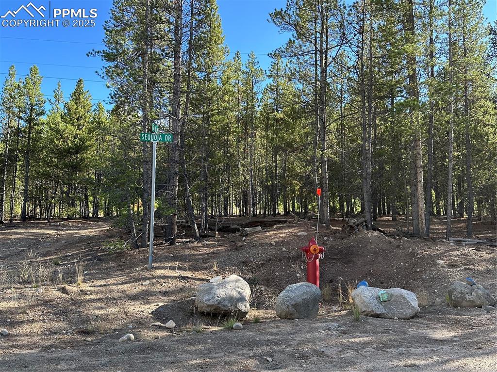 Image 14 of 20: community fire hydrants