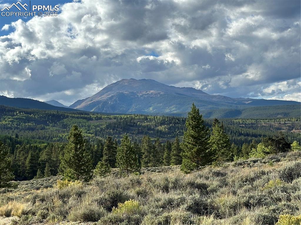 Image 16 of 20: View