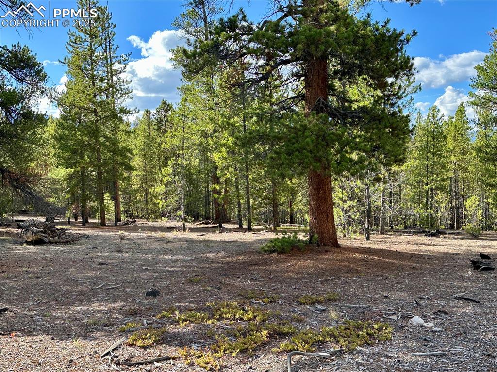 Image 2 of 20: gorgeous double lot