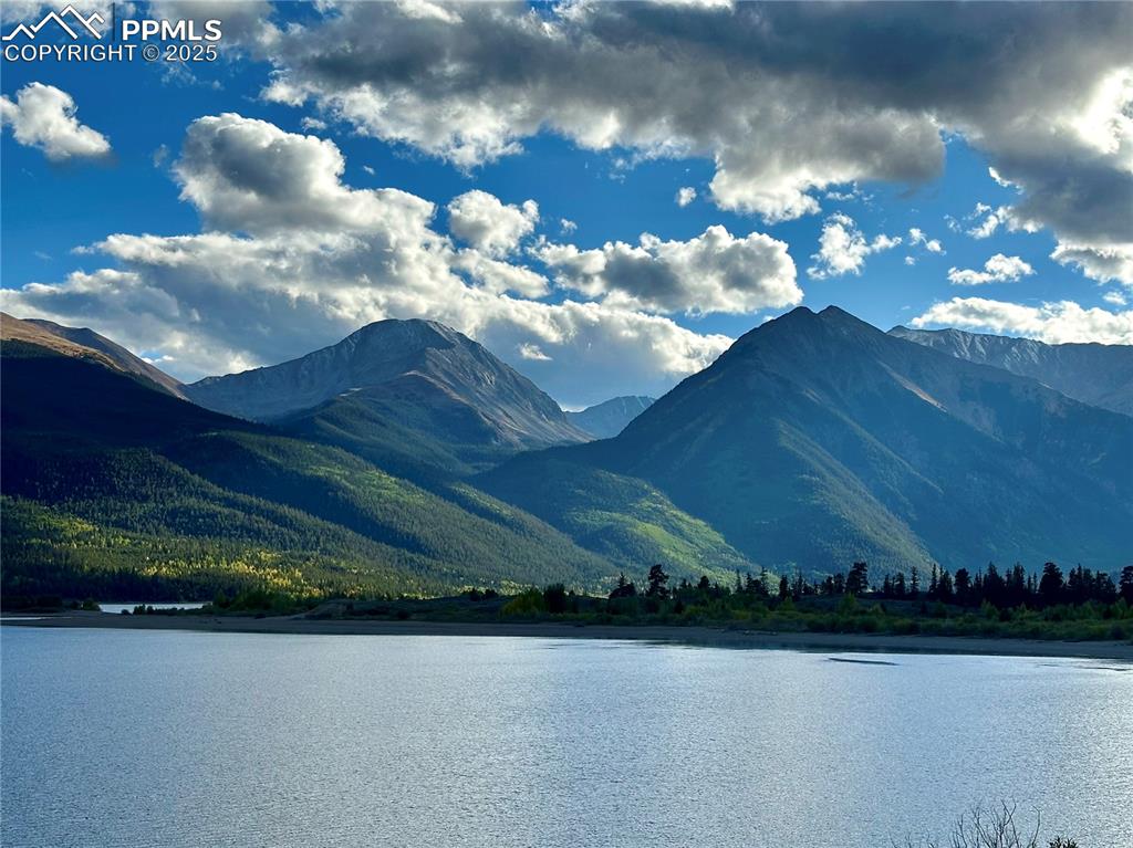 Image 20 of 20: prized fishing