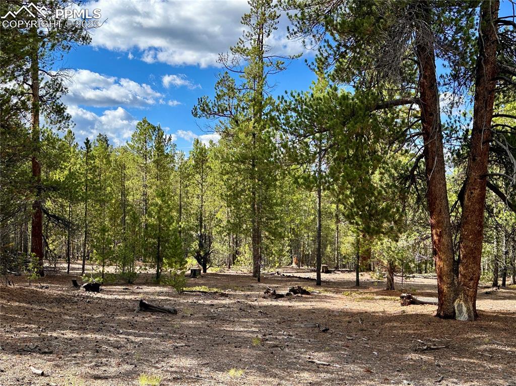 Image 4 of 20: build nearly anywhere