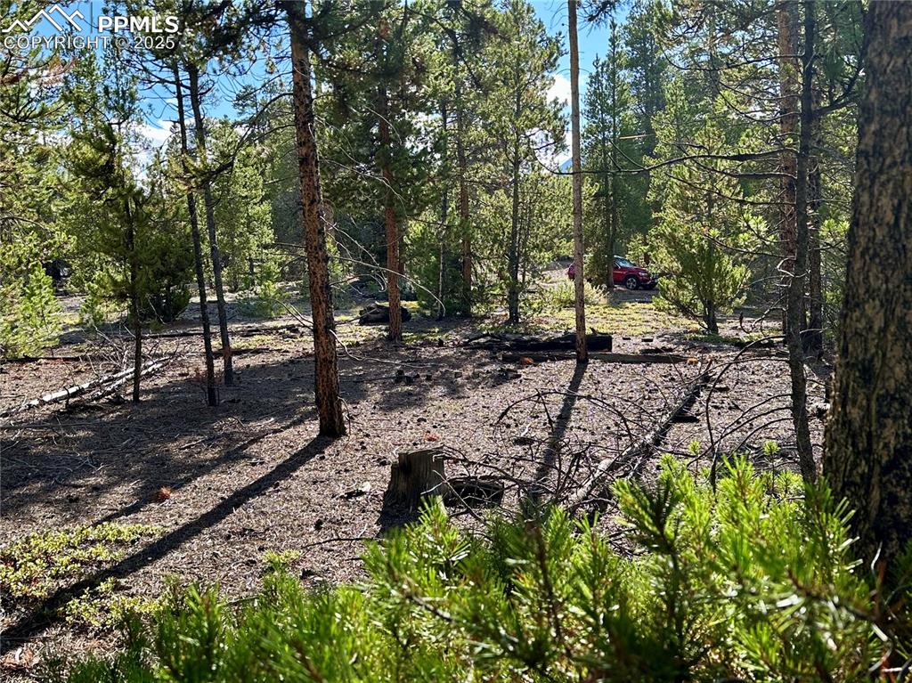 Image 7 of 20: Other