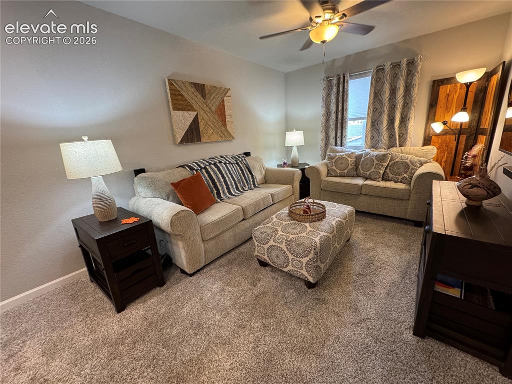 Image 17 of 25: Neutral wall finishes, plush carpeting, and a ceiling-mounted light fixture