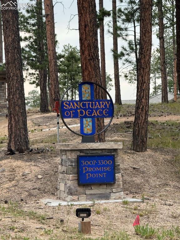 Image 28 of 28: Community Entry Monument