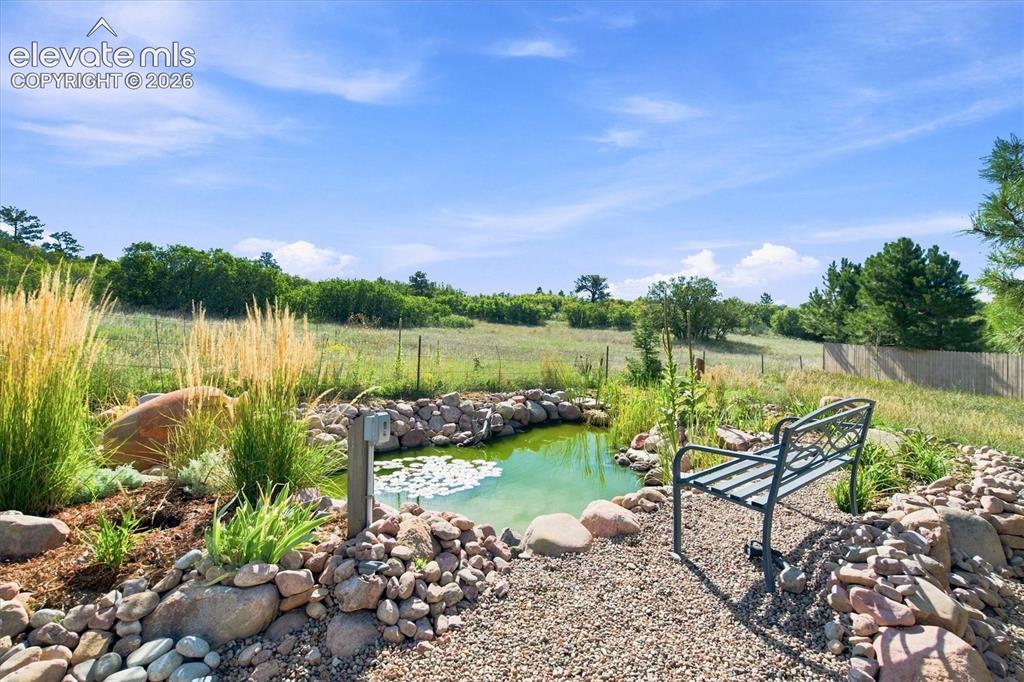 Image 21 of 48: Coi Pond