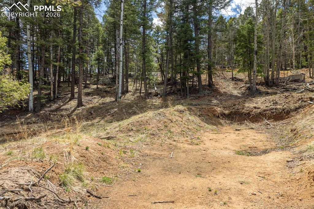 Image 10 of 19: Other