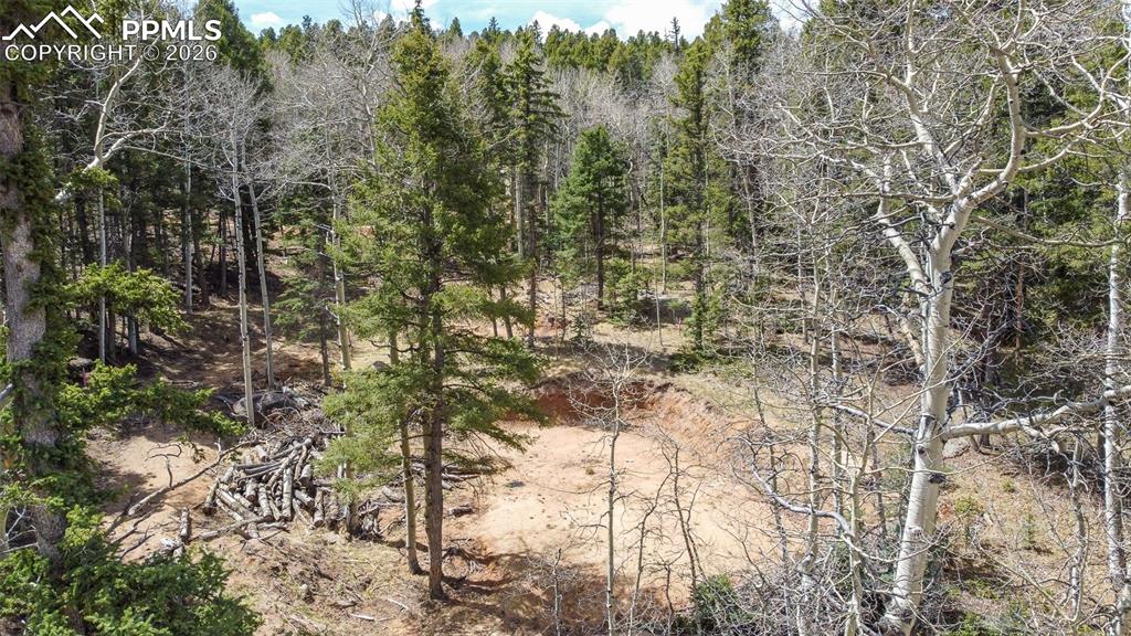 Image 11 of 19: Other