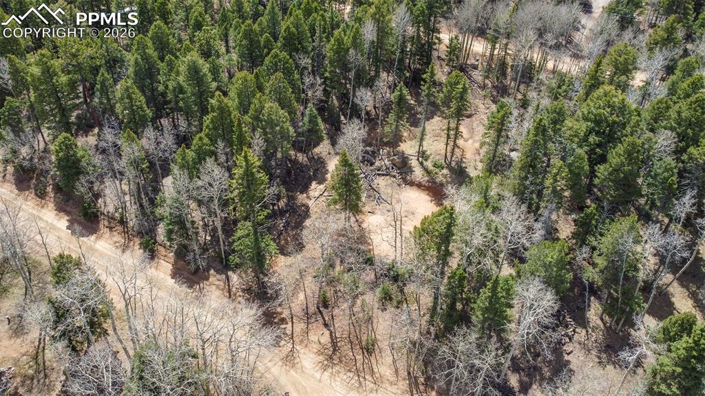 Image 14 of 19: Aerial View