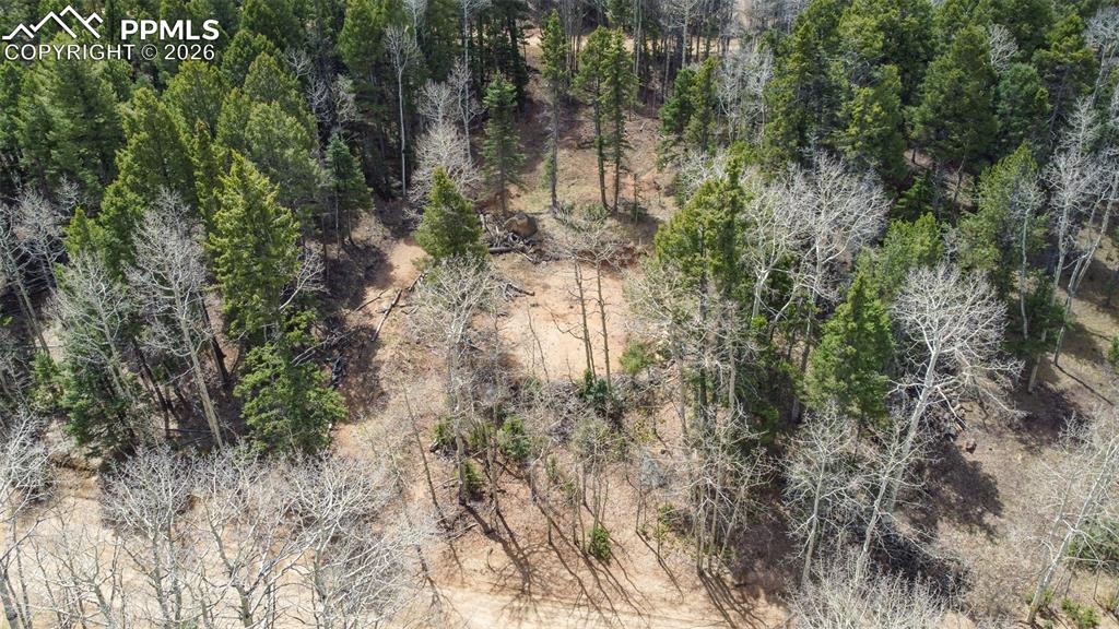 Image 19 of 19: Aerial View