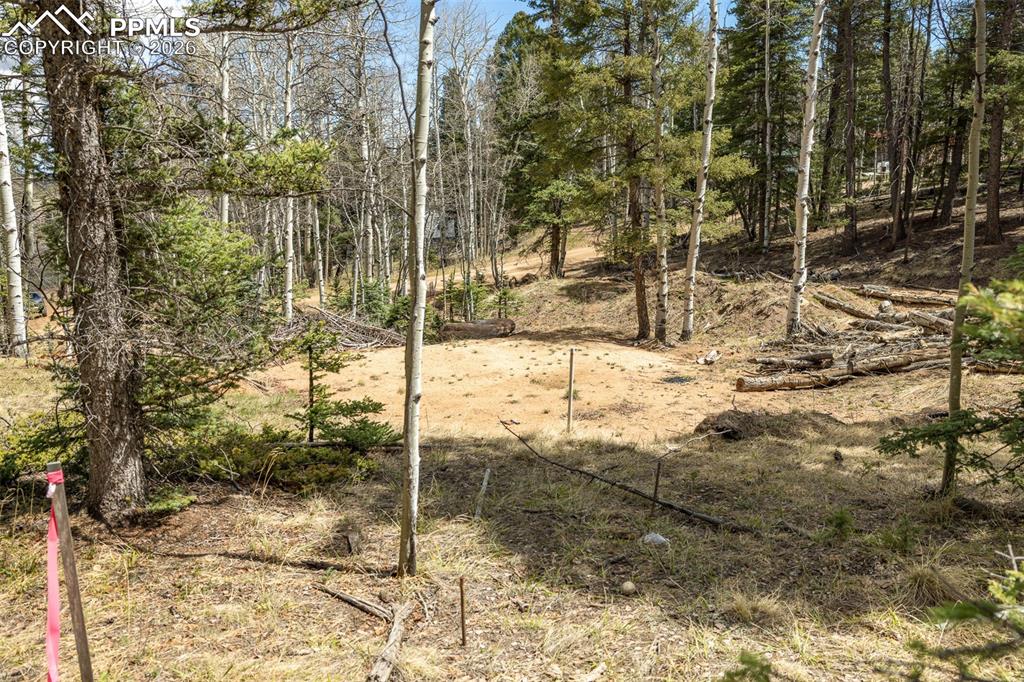 Image 2 of 19: Other